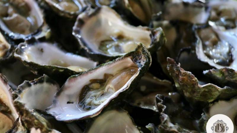 Oysters: delicious and healthy?